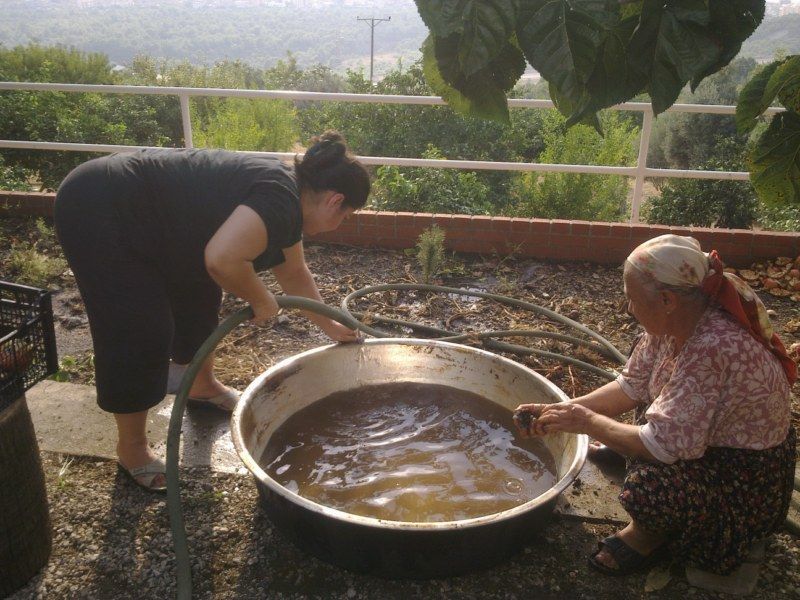 GÃƒÂƒÃ‚ÂƒÃƒÂ‚Ã‚Â¶rÃƒÂƒÃ‚ÂƒÃƒÂ‚Ã‚Â¼ntÃƒÂƒÃ‚ÂƒÃƒÂ‚Ã‚Â¼0500 [800x600].jpg