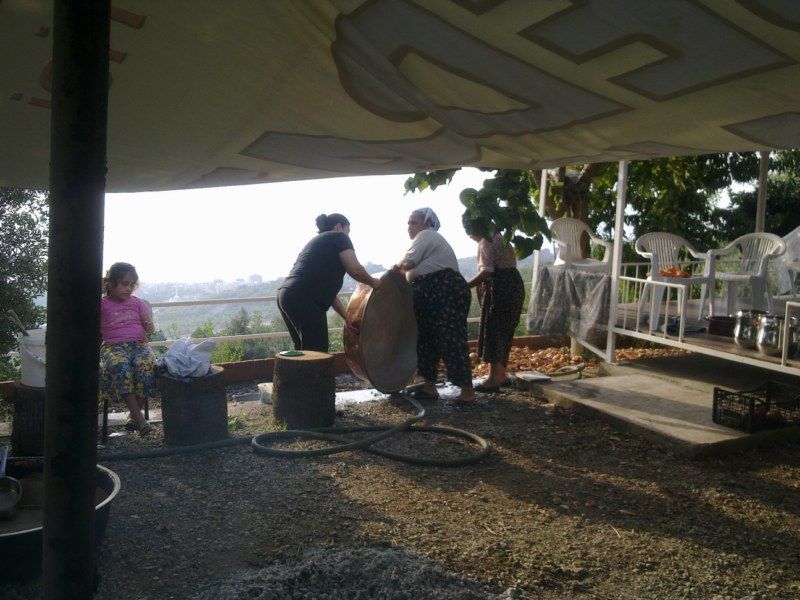 GÃƒÂƒÃ‚ÂƒÃƒÂ‚Ã‚Â¶rÃƒÂƒÃ‚ÂƒÃƒÂ‚Ã‚Â¼ntÃƒÂƒÃ‚ÂƒÃƒÂ‚Ã‚Â¼0512 [800x600].jpg