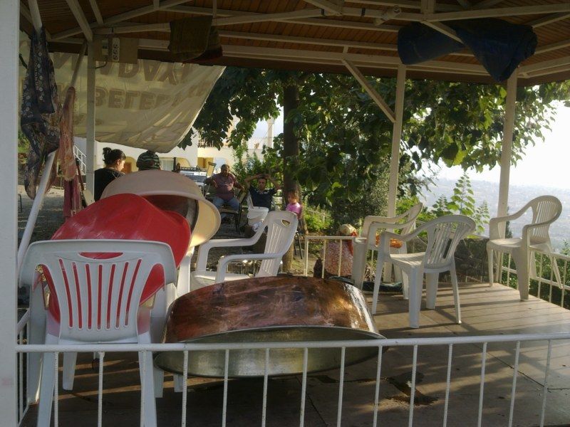 GÃƒÂƒÃ‚ÂƒÃƒÂ‚Ã‚Â¶rÃƒÂƒÃ‚ÂƒÃƒÂ‚Ã‚Â¼ntÃƒÂƒÃ‚ÂƒÃƒÂ‚Ã‚Â¼0514 [800x600].jpg