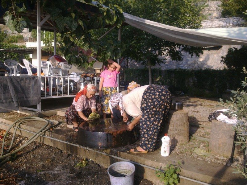 GÃƒÂƒÃ‚ÂƒÃƒÂ‚Ã‚Â¶rÃƒÂƒÃ‚ÂƒÃƒÂ‚Ã‚Â¼ntÃƒÂƒÃ‚ÂƒÃƒÂ‚Ã‚Â¼0520 [800x600].jpg