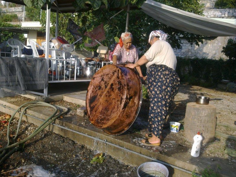 GÃƒÂƒÃ‚ÂƒÃƒÂ‚Ã‚Â¶rÃƒÂƒÃ‚ÂƒÃƒÂ‚Ã‚Â¼ntÃƒÂƒÃ‚ÂƒÃƒÂ‚Ã‚Â¼0527 [800x600].jpg