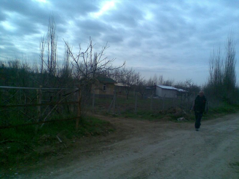 GÃƒÂƒÃ‚ÂƒÃƒÂ‚Ã‚Â¶rÃƒÂƒÃ‚ÂƒÃƒÂ‚Ã‚Â¼ntÃƒÂƒÃ‚ÂƒÃƒÂ‚Ã‚Â¼059.jpg