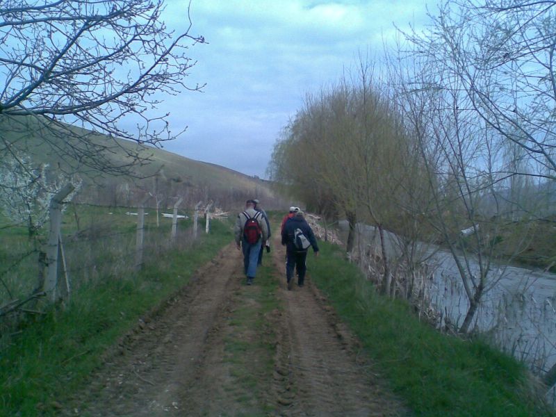 GÃƒÂƒÃ‚ÂƒÃƒÂ‚Ã‚Â¶rÃƒÂƒÃ‚ÂƒÃƒÂ‚Ã‚Â¼ntÃƒÂƒÃ‚ÂƒÃƒÂ‚Ã‚Â¼061.jpg