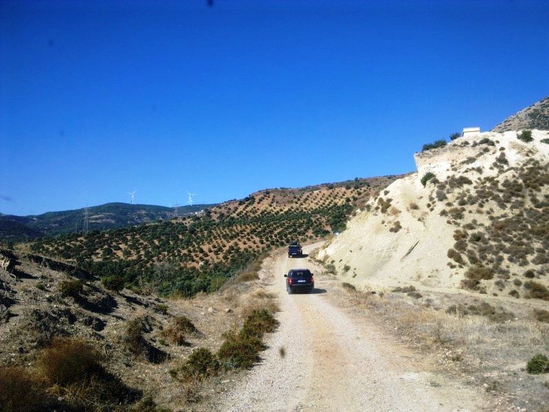 GÃƒÂƒÃ‚ÂƒÃƒÂ‚Ã‚Â¶rÃƒÂƒÃ‚ÂƒÃƒÂ‚Ã‚Â¼ntÃƒÂƒÃ‚ÂƒÃƒÂ‚Ã‚Â¼0656 [800x600].jpg