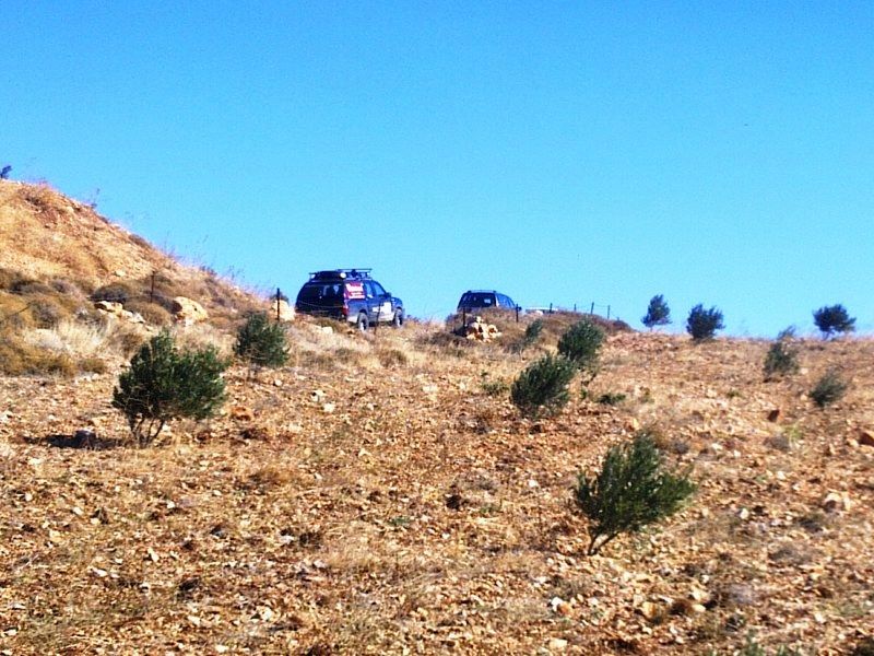 GÃƒÂƒÃ‚ÂƒÃƒÂ‚Ã‚Â¶rÃƒÂƒÃ‚ÂƒÃƒÂ‚Ã‚Â¼ntÃƒÂƒÃ‚ÂƒÃƒÂ‚Ã‚Â¼0661 [800x600].jpg