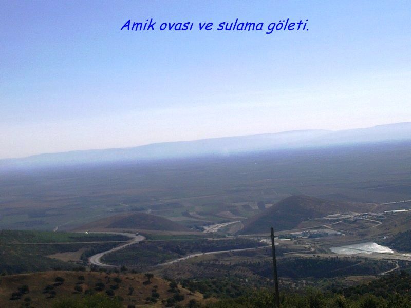 GÃƒÂƒÃ‚ÂƒÃƒÂ‚Ã‚Â¶rÃƒÂƒÃ‚ÂƒÃƒÂ‚Ã‚Â¼ntÃƒÂƒÃ‚ÂƒÃƒÂ‚Ã‚Â¼0663 [800x600].jpg