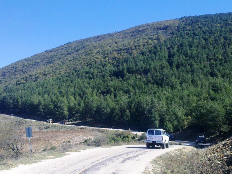 GÃƒÂƒÃ‚ÂƒÃƒÂ‚Ã‚Â¶rÃƒÂƒÃ‚ÂƒÃƒÂ‚Ã‚Â¼ntÃƒÂƒÃ‚ÂƒÃƒÂ‚Ã‚Â¼0671 [800x600].jpg