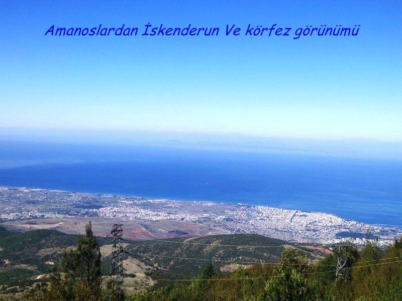 GÃƒÂƒÃ‚ÂƒÃƒÂ‚Ã‚Â¶rÃƒÂƒÃ‚ÂƒÃƒÂ‚Ã‚Â¼ntÃƒÂƒÃ‚ÂƒÃƒÂ‚Ã‚Â¼0674 [800x600].jpg