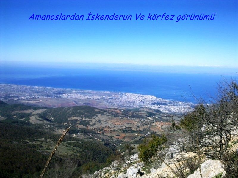 GÃƒÂƒÃ‚ÂƒÃƒÂ‚Ã‚Â¶rÃƒÂƒÃ‚ÂƒÃƒÂ‚Ã‚Â¼ntÃƒÂƒÃ‚ÂƒÃƒÂ‚Ã‚Â¼0675 [800x600].jpg