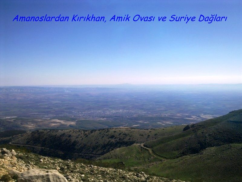 GÃƒÂƒÃ‚ÂƒÃƒÂ‚Ã‚Â¶rÃƒÂƒÃ‚ÂƒÃƒÂ‚Ã‚Â¼ntÃƒÂƒÃ‚ÂƒÃƒÂ‚Ã‚Â¼0676 [800x600].jpg