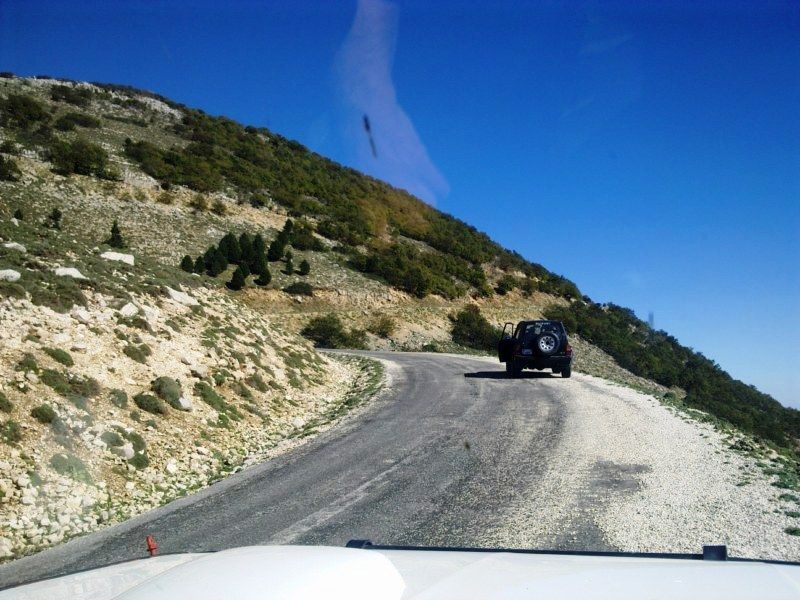 GÃƒÂƒÃ‚ÂƒÃƒÂ‚Ã‚Â¶rÃƒÂƒÃ‚ÂƒÃƒÂ‚Ã‚Â¼ntÃƒÂƒÃ‚ÂƒÃƒÂ‚Ã‚Â¼0677 [800x600].jpg