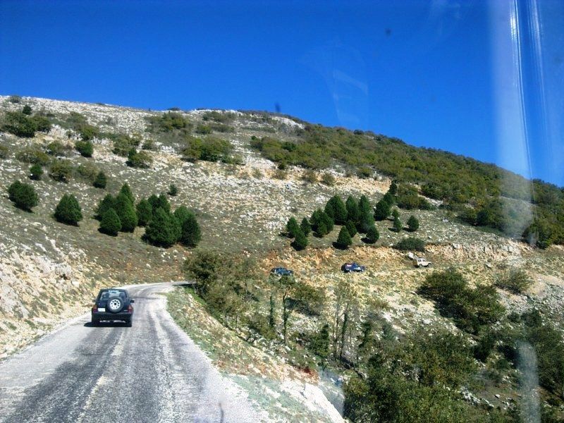 GÃƒÂƒÃ‚ÂƒÃƒÂ‚Ã‚Â¶rÃƒÂƒÃ‚ÂƒÃƒÂ‚Ã‚Â¼ntÃƒÂƒÃ‚ÂƒÃƒÂ‚Ã‚Â¼0679 [800x600].jpg