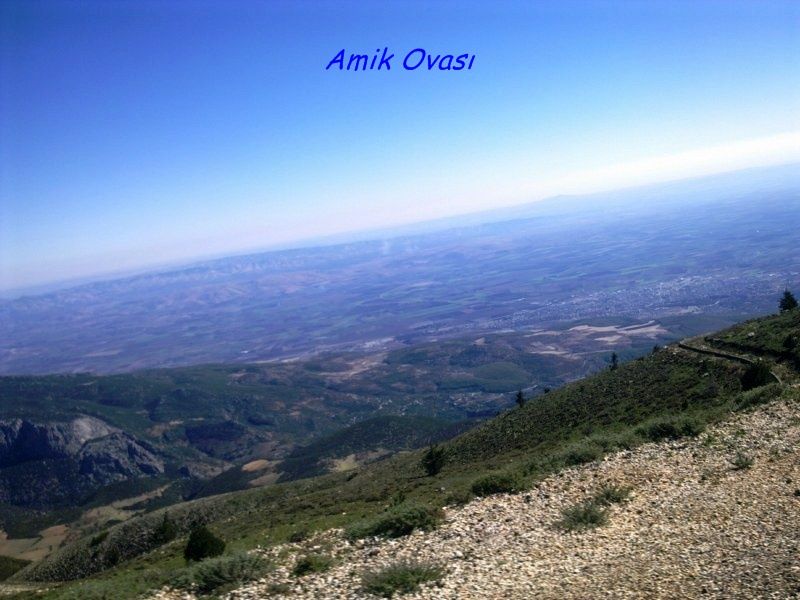 GÃƒÂƒÃ‚ÂƒÃƒÂ‚Ã‚Â¶rÃƒÂƒÃ‚ÂƒÃƒÂ‚Ã‚Â¼ntÃƒÂƒÃ‚ÂƒÃƒÂ‚Ã‚Â¼0684 [800x600].jpg