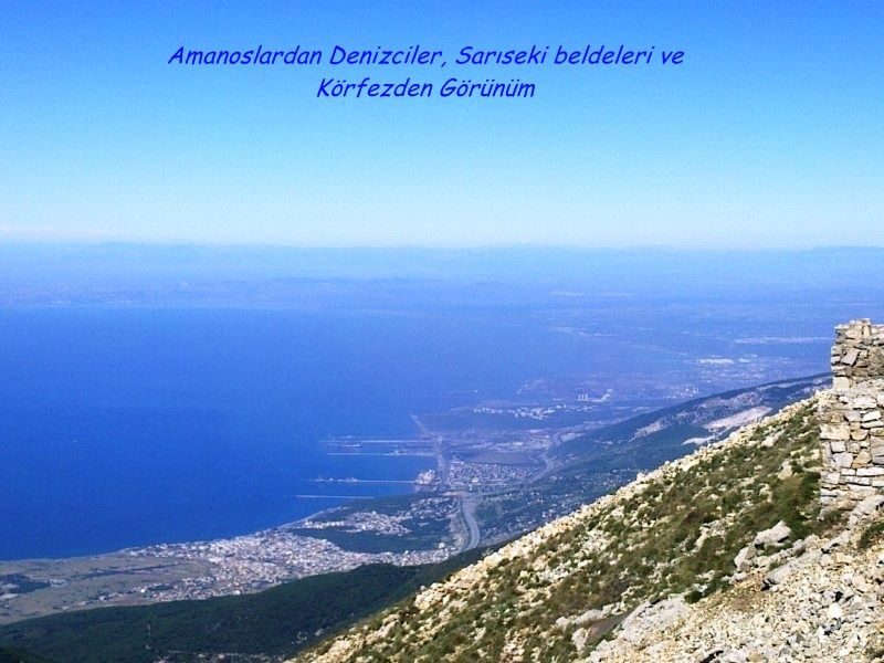 GÃƒÂƒÃ‚ÂƒÃƒÂ‚Ã‚Â¶rÃƒÂƒÃ‚ÂƒÃƒÂ‚Ã‚Â¼ntÃƒÂƒÃ‚ÂƒÃƒÂ‚Ã‚Â¼0689 [800x600].jpg