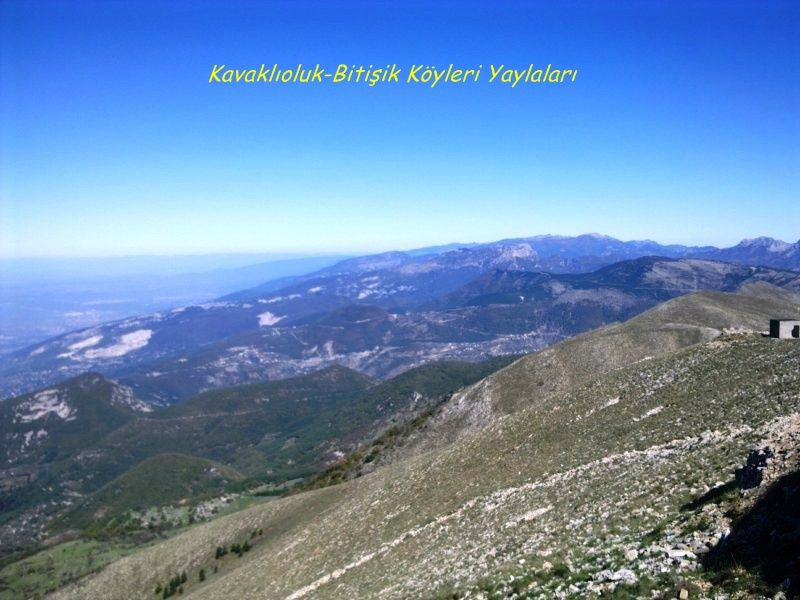 GÃƒÂƒÃ‚ÂƒÃƒÂ‚Ã‚Â¶rÃƒÂƒÃ‚ÂƒÃƒÂ‚Ã‚Â¼ntÃƒÂƒÃ‚ÂƒÃƒÂ‚Ã‚Â¼0692 [800x600].jpg