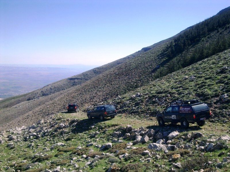 GÃƒÂƒÃ‚ÂƒÃƒÂ‚Ã‚Â¶rÃƒÂƒÃ‚ÂƒÃƒÂ‚Ã‚Â¼ntÃƒÂƒÃ‚ÂƒÃƒÂ‚Ã‚Â¼0701 [800x600].jpg