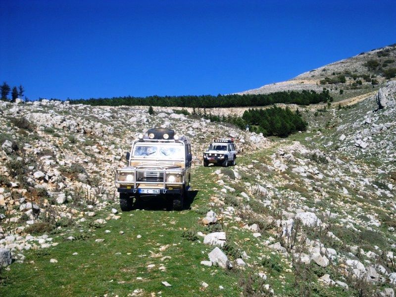 GÃƒÂƒÃ‚ÂƒÃƒÂ‚Ã‚Â¶rÃƒÂƒÃ‚ÂƒÃƒÂ‚Ã‚Â¼ntÃƒÂƒÃ‚ÂƒÃƒÂ‚Ã‚Â¼0702 [800x600].jpg