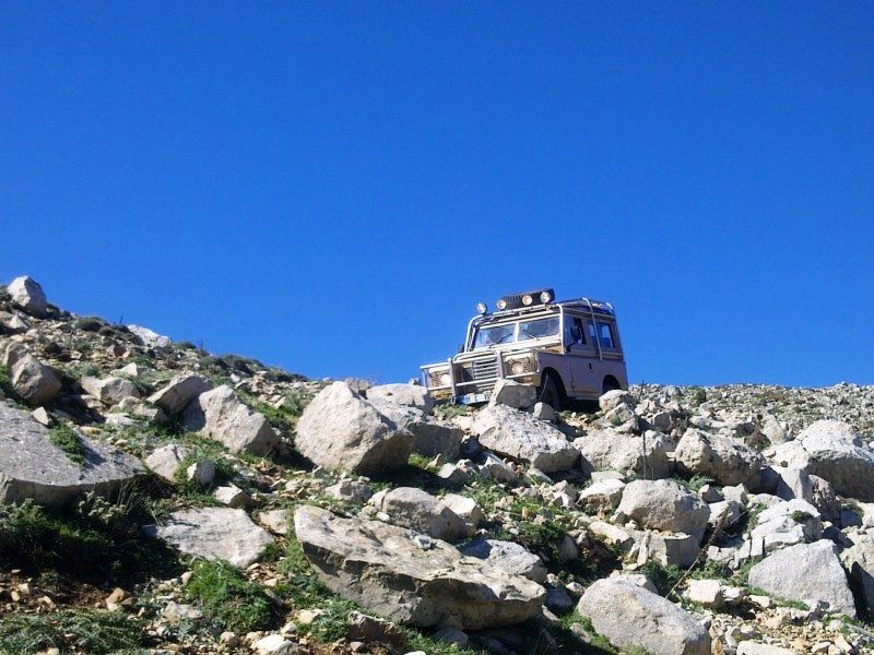 GÃƒÂƒÃ‚ÂƒÃƒÂ‚Ã‚Â¶rÃƒÂƒÃ‚ÂƒÃƒÂ‚Ã‚Â¼ntÃƒÂƒÃ‚ÂƒÃƒÂ‚Ã‚Â¼0709 [800x600].jpg