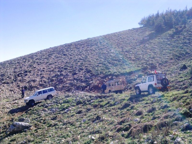 GÃƒÂƒÃ‚ÂƒÃƒÂ‚Ã‚Â¶rÃƒÂƒÃ‚ÂƒÃƒÂ‚Ã‚Â¼ntÃƒÂƒÃ‚ÂƒÃƒÂ‚Ã‚Â¼0714 [800x600].jpg