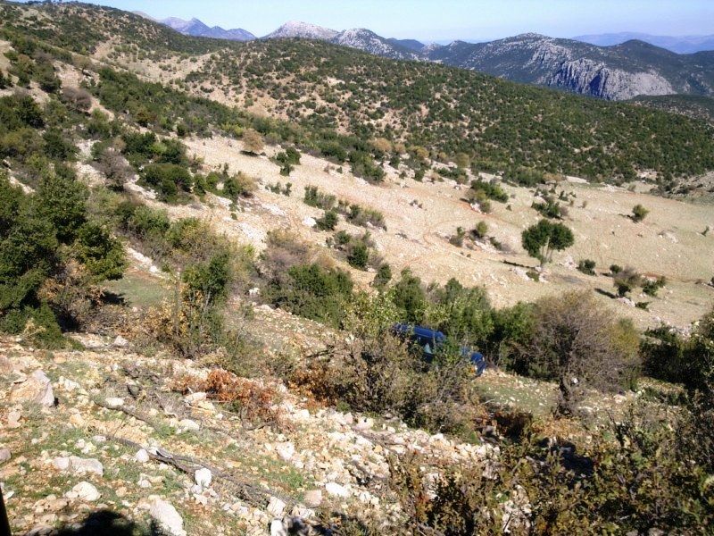 GÃƒÂƒÃ‚ÂƒÃƒÂ‚Ã‚Â¶rÃƒÂƒÃ‚ÂƒÃƒÂ‚Ã‚Â¼ntÃƒÂƒÃ‚ÂƒÃƒÂ‚Ã‚Â¼0730 [800x600].jpg