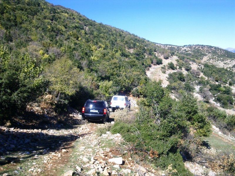 GÃƒÂƒÃ‚ÂƒÃƒÂ‚Ã‚Â¶rÃƒÂƒÃ‚ÂƒÃƒÂ‚Ã‚Â¼ntÃƒÂƒÃ‚ÂƒÃƒÂ‚Ã‚Â¼0731 [800x600].jpg