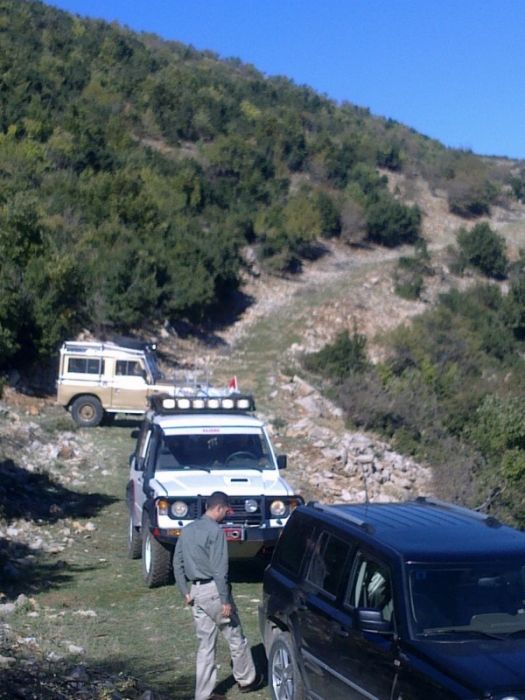 GÃƒÂƒÃ‚ÂƒÃƒÂ‚Ã‚Â¶rÃƒÂƒÃ‚ÂƒÃƒÂ‚Ã‚Â¼ntÃƒÂƒÃ‚ÂƒÃƒÂ‚Ã‚Â¼0736 [800x600].jpg