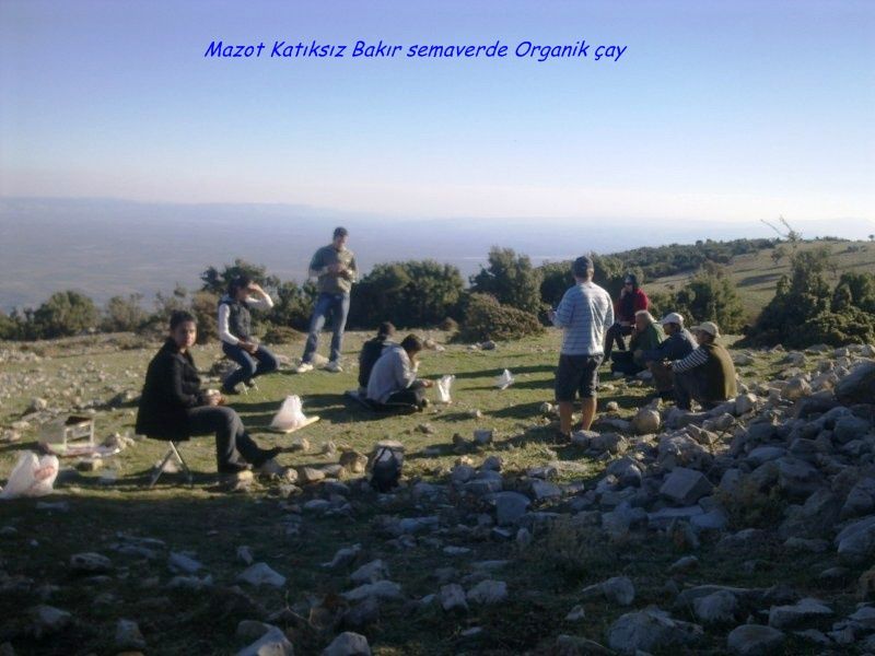 GÃƒÂƒÃ‚ÂƒÃƒÂ‚Ã‚Â¶rÃƒÂƒÃ‚ÂƒÃƒÂ‚Ã‚Â¼ntÃƒÂƒÃ‚ÂƒÃƒÂ‚Ã‚Â¼0738 [800x600].jpg