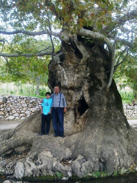 GÃƒÂƒÃ‚ÂƒÃƒÂ‚Ã‚Â¶rÃƒÂƒÃ‚ÂƒÃƒÂ‚Ã‚Â¼ntÃƒÂƒÃ‚ÂƒÃƒÂ‚Ã‚Â¼0745 [800x600].jpg