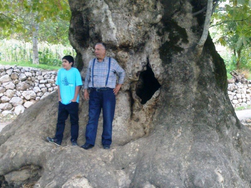 GÃƒÂƒÃ‚ÂƒÃƒÂ‚Ã‚Â¶rÃƒÂƒÃ‚ÂƒÃƒÂ‚Ã‚Â¼ntÃƒÂƒÃ‚ÂƒÃƒÂ‚Ã‚Â¼0746 [800x600].jpg