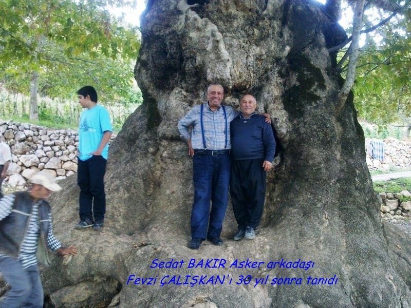 GÃƒÂƒÃ‚ÂƒÃƒÂ‚Ã‚Â¶rÃƒÂƒÃ‚ÂƒÃƒÂ‚Ã‚Â¼ntÃƒÂƒÃ‚ÂƒÃƒÂ‚Ã‚Â¼0747 [800x600].jpg