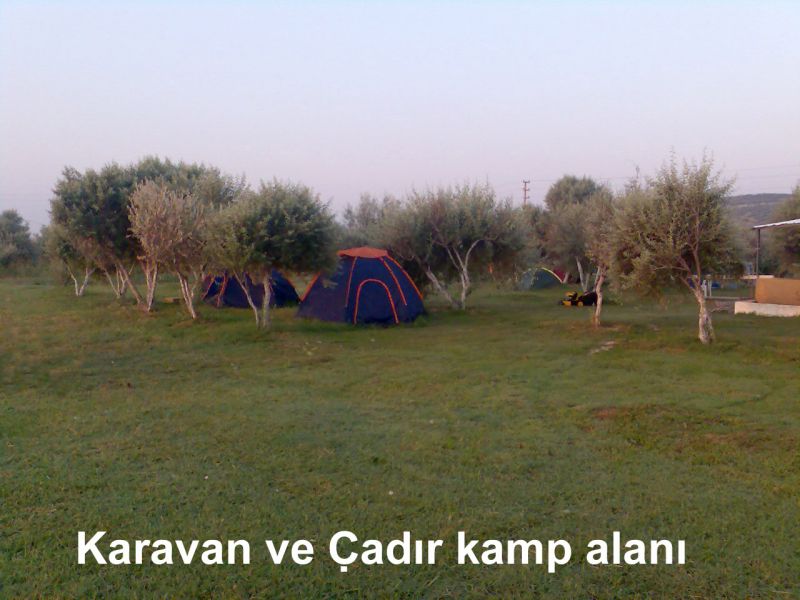 GÃƒÂƒÃ‚ÂƒÃƒÂ‚Ã‚Â¶rÃƒÂƒÃ‚ÂƒÃƒÂ‚Ã‚Â¼ntÃƒÂƒÃ‚ÂƒÃƒÂ‚Ã‚Â¼075.jpg