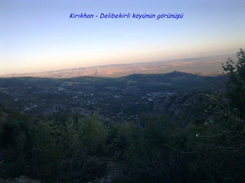 GÃƒÂƒÃ‚ÂƒÃƒÂ‚Ã‚Â¶rÃƒÂƒÃ‚ÂƒÃƒÂ‚Ã‚Â¼ntÃƒÂƒÃ‚ÂƒÃƒÂ‚Ã‚Â¼0750 [800x600].jpg