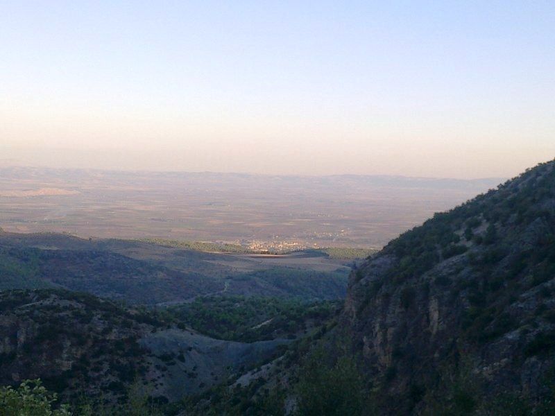 GÃƒÂƒÃ‚ÂƒÃƒÂ‚Ã‚Â¶rÃƒÂƒÃ‚ÂƒÃƒÂ‚Ã‚Â¼ntÃƒÂƒÃ‚ÂƒÃƒÂ‚Ã‚Â¼0755 [800x600].jpg