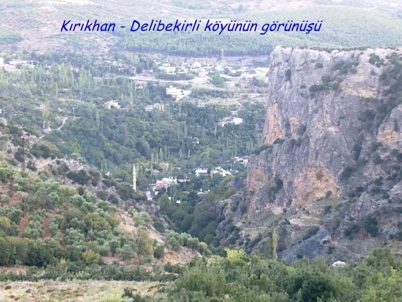 GÃƒÂƒÃ‚ÂƒÃƒÂ‚Ã‚Â¶rÃƒÂƒÃ‚ÂƒÃƒÂ‚Ã‚Â¼ntÃƒÂƒÃ‚ÂƒÃƒÂ‚Ã‚Â¼0756 [800x600].jpg