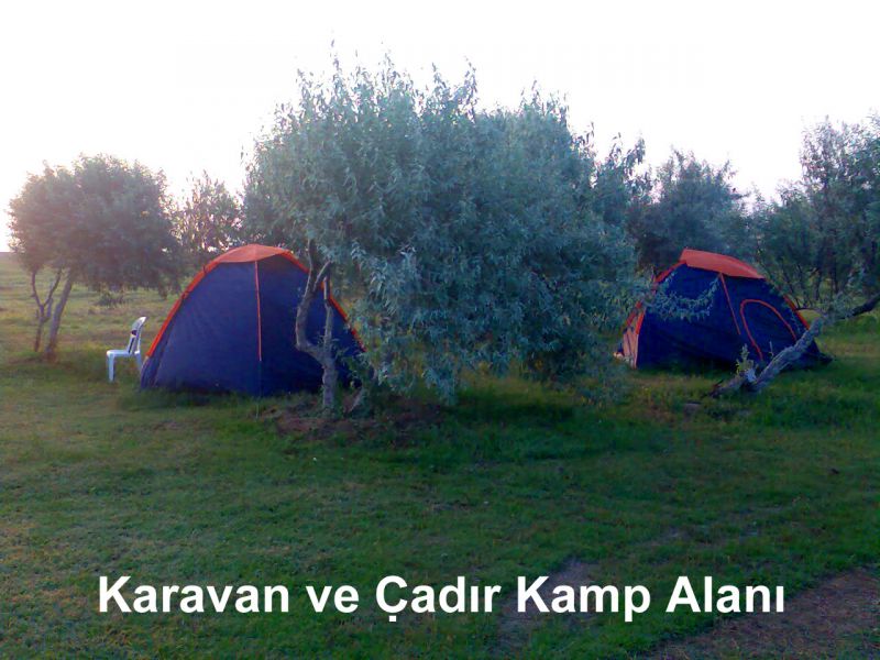 GÃƒÂƒÃ‚ÂƒÃƒÂ‚Ã‚Â¶rÃƒÂƒÃ‚ÂƒÃƒÂ‚Ã‚Â¼ntÃƒÂƒÃ‚ÂƒÃƒÂ‚Ã‚Â¼079.jpg