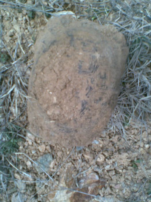 GÃƒÂƒÃ‚ÂƒÃƒÂ‚Ã‚Â¶rÃƒÂƒÃ‚ÂƒÃƒÂ‚Ã‚Â¼ntÃƒÂƒÃ‚ÂƒÃƒÂ‚Ã‚Â¼095.jpg