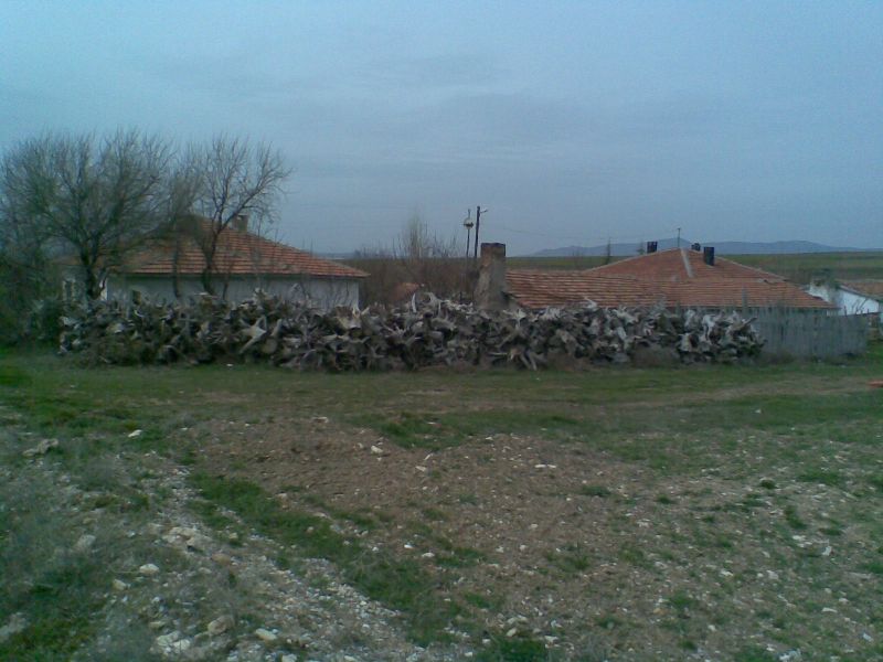 GÃƒÂƒÃ‚ÂƒÃƒÂ‚Ã‚Â¶rÃƒÂƒÃ‚ÂƒÃƒÂ‚Ã‚Â¼ntÃƒÂƒÃ‚ÂƒÃƒÂ‚Ã‚Â¼098.jpg