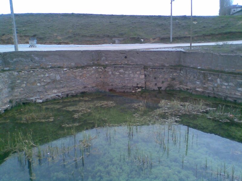 GÃƒÂƒÃ‚ÂƒÃƒÂ‚Ã‚Â¶rÃƒÂƒÃ‚ÂƒÃƒÂ‚Ã‚Â¼ntÃƒÂƒÃ‚ÂƒÃƒÂ‚Ã‚Â¼103.jpg