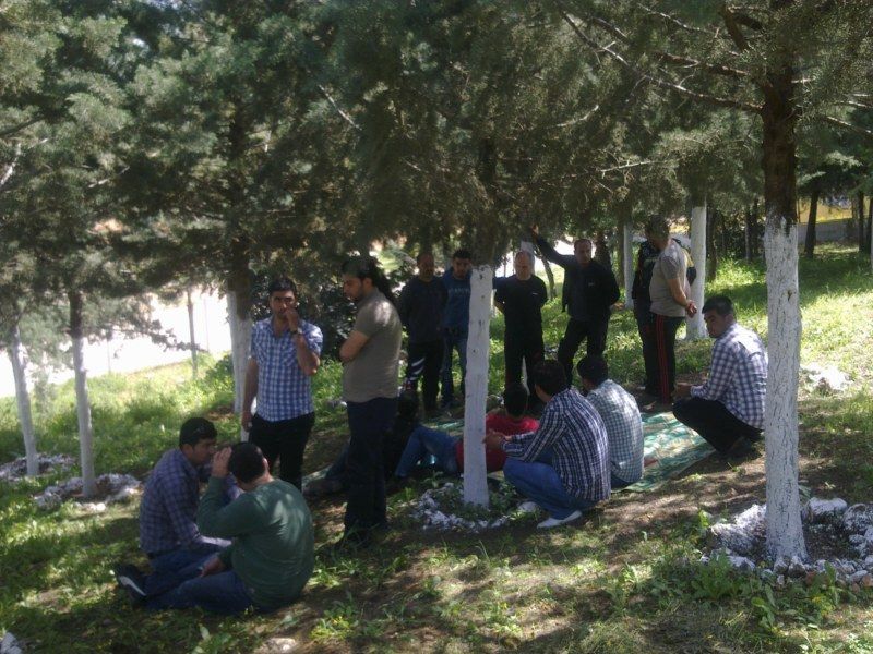 GÃƒÂƒÃ‚ÂƒÃƒÂ‚Ã‚Â¶rÃƒÂƒÃ‚ÂƒÃƒÂ‚Ã‚Â¼ntÃƒÂƒÃ‚ÂƒÃƒÂ‚Ã‚Â¼1115 [800x600].jpg