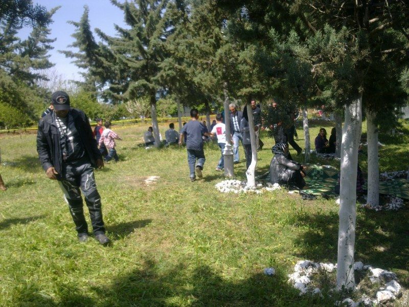 GÃƒÂƒÃ‚ÂƒÃƒÂ‚Ã‚Â¶rÃƒÂƒÃ‚ÂƒÃƒÂ‚Ã‚Â¼ntÃƒÂƒÃ‚ÂƒÃƒÂ‚Ã‚Â¼1116 [800x600].jpg