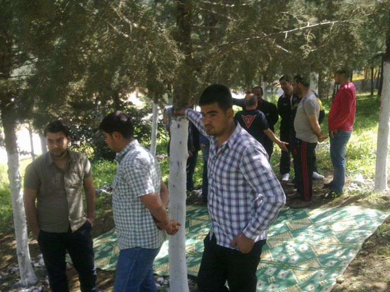 GÃƒÂƒÃ‚ÂƒÃƒÂ‚Ã‚Â¶rÃƒÂƒÃ‚ÂƒÃƒÂ‚Ã‚Â¼ntÃƒÂƒÃ‚ÂƒÃƒÂ‚Ã‚Â¼1118 [800x600].jpg