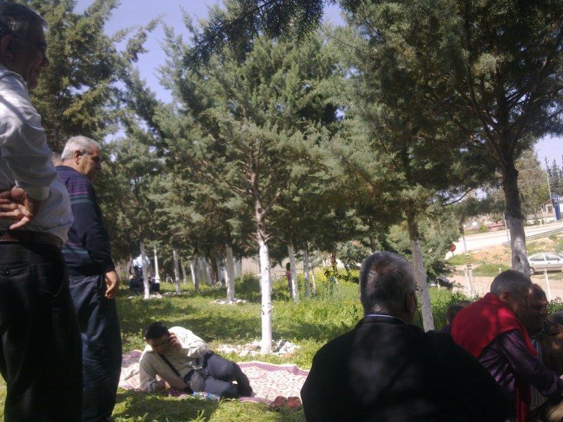 GÃƒÂƒÃ‚ÂƒÃƒÂ‚Ã‚Â¶rÃƒÂƒÃ‚ÂƒÃƒÂ‚Ã‚Â¼ntÃƒÂƒÃ‚ÂƒÃƒÂ‚Ã‚Â¼1128 [800x600].jpg