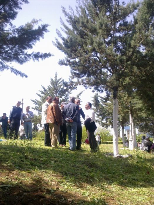 GÃƒÂƒÃ‚ÂƒÃƒÂ‚Ã‚Â¶rÃƒÂƒÃ‚ÂƒÃƒÂ‚Ã‚Â¼ntÃƒÂƒÃ‚ÂƒÃƒÂ‚Ã‚Â¼1132 [800x600].jpg