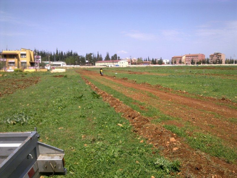 GÃƒÂƒÃ‚ÂƒÃƒÂ‚Ã‚Â¶rÃƒÂƒÃ‚ÂƒÃƒÂ‚Ã‚Â¼ntÃƒÂƒÃ‚ÂƒÃƒÂ‚Ã‚Â¼1138 [800x600].jpg