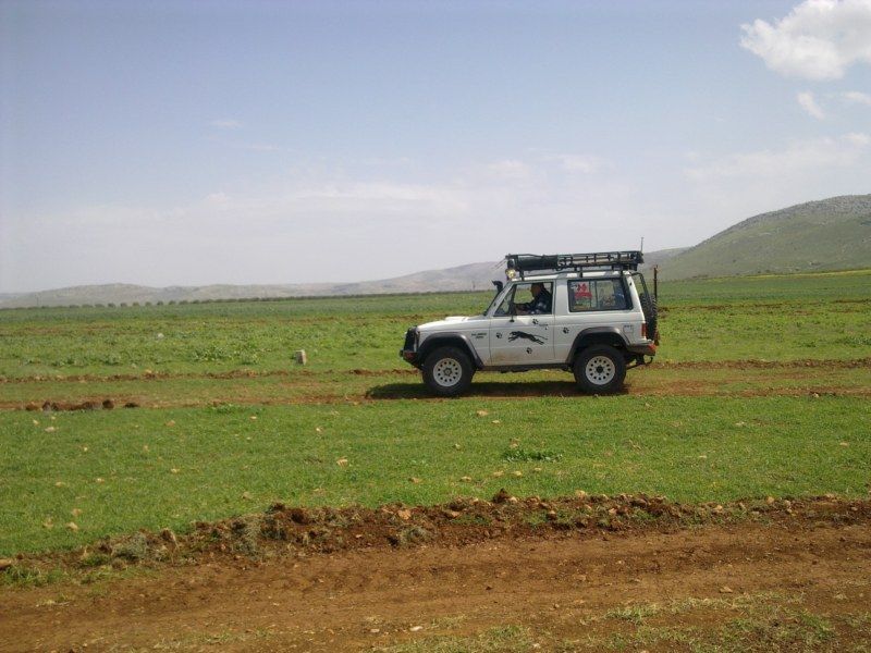 GÃƒÂƒÃ‚ÂƒÃƒÂ‚Ã‚Â¶rÃƒÂƒÃ‚ÂƒÃƒÂ‚Ã‚Â¼ntÃƒÂƒÃ‚ÂƒÃƒÂ‚Ã‚Â¼1140 [800x600].jpg