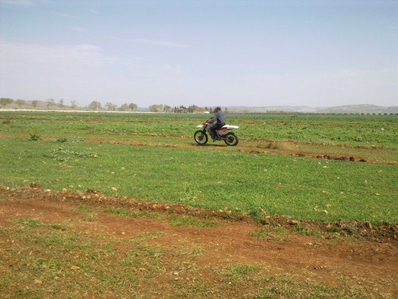 GÃƒÂƒÃ‚ÂƒÃƒÂ‚Ã‚Â¶rÃƒÂƒÃ‚ÂƒÃƒÂ‚Ã‚Â¼ntÃƒÂƒÃ‚ÂƒÃƒÂ‚Ã‚Â¼1144 [800x600].jpg