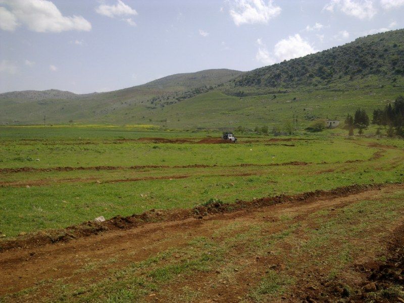 GÃƒÂƒÃ‚ÂƒÃƒÂ‚Ã‚Â¶rÃƒÂƒÃ‚ÂƒÃƒÂ‚Ã‚Â¼ntÃƒÂƒÃ‚ÂƒÃƒÂ‚Ã‚Â¼1145 [800x600].jpg