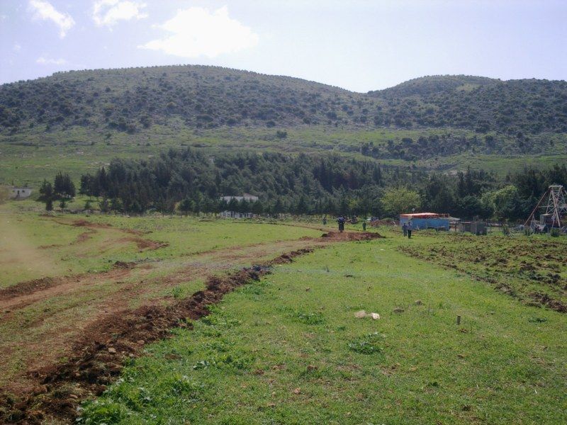 GÃƒÂƒÃ‚ÂƒÃƒÂ‚Ã‚Â¶rÃƒÂƒÃ‚ÂƒÃƒÂ‚Ã‚Â¼ntÃƒÂƒÃ‚ÂƒÃƒÂ‚Ã‚Â¼1149 [800x600].jpg