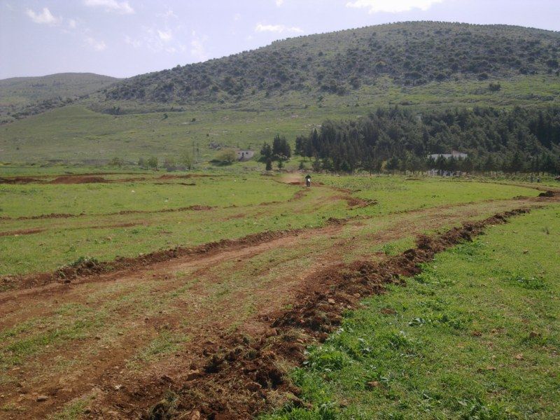 GÃƒÂƒÃ‚ÂƒÃƒÂ‚Ã‚Â¶rÃƒÂƒÃ‚ÂƒÃƒÂ‚Ã‚Â¼ntÃƒÂƒÃ‚ÂƒÃƒÂ‚Ã‚Â¼1150 [800x600].jpg