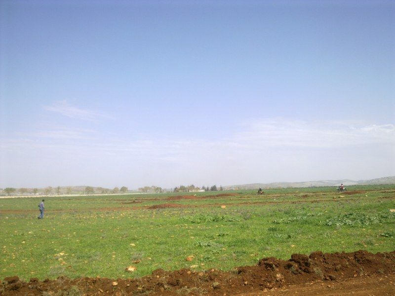 GÃƒÂƒÃ‚ÂƒÃƒÂ‚Ã‚Â¶rÃƒÂƒÃ‚ÂƒÃƒÂ‚Ã‚Â¼ntÃƒÂƒÃ‚ÂƒÃƒÂ‚Ã‚Â¼1164 [800x600].jpg